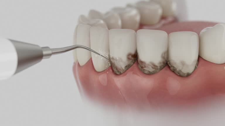 Reliable Dental contractor in Brigham City, UT by Dentist Open Now
